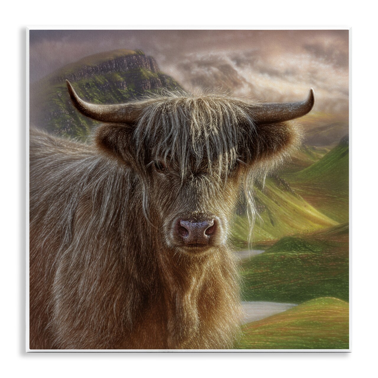 Stupell Industries Butterscotch Highland Cow Wall Plaque, design by Collin Bogle